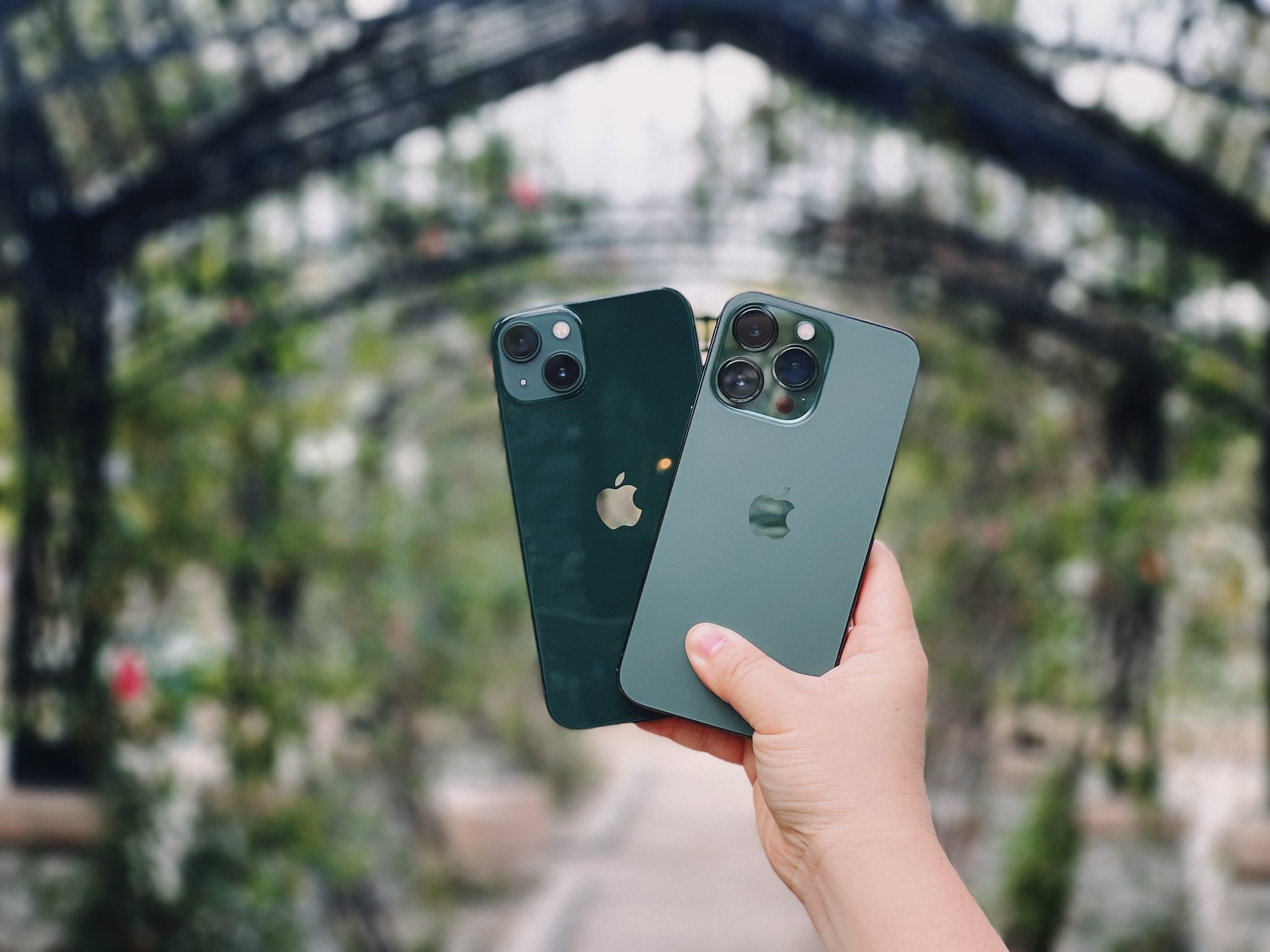 Green iPhone 13 ir Alpine Green iPhone 13 Pro