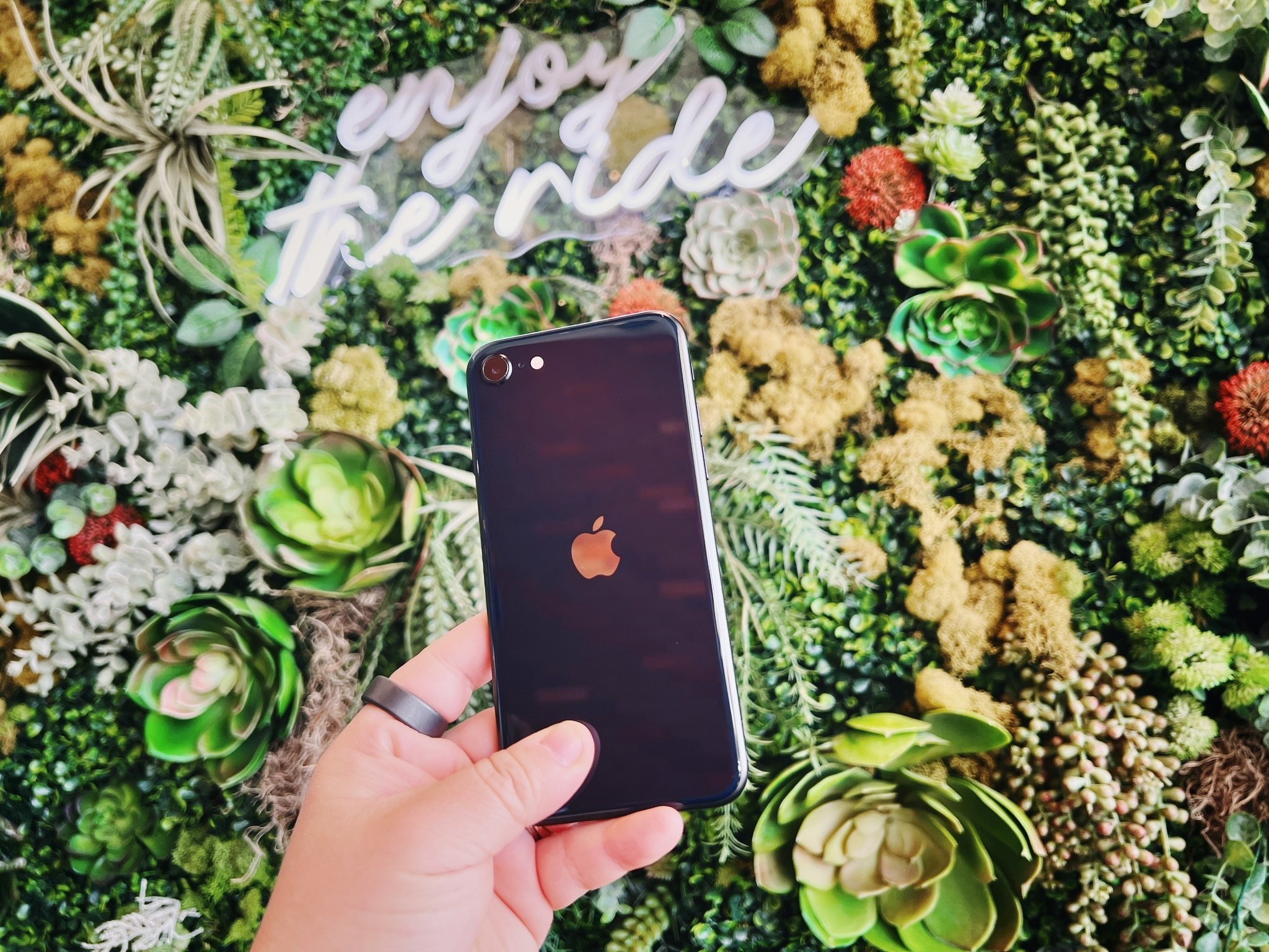 iPhone SE 2022 against floral backdrop