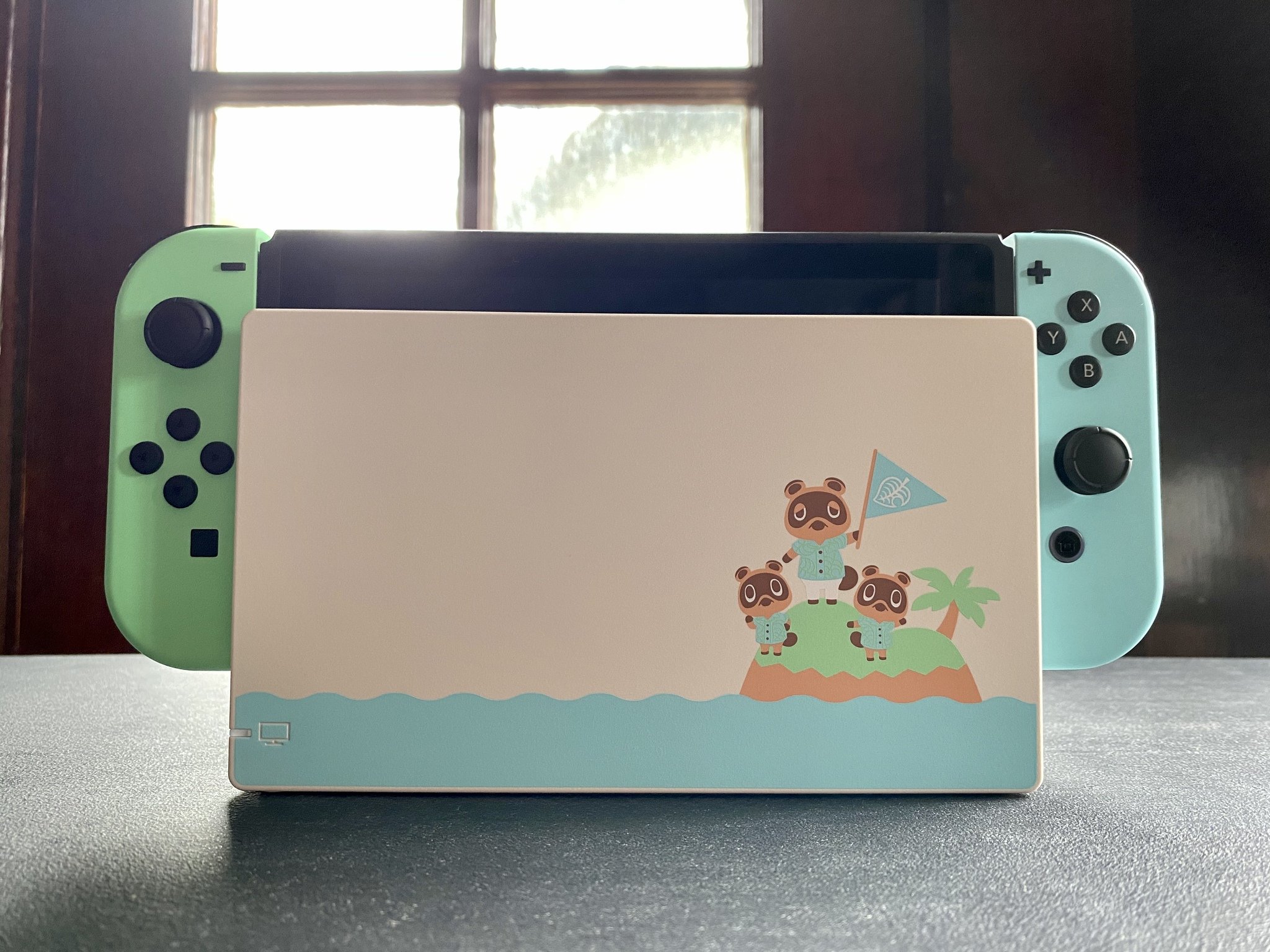 Animal Crossing New Horizons Switch amarré