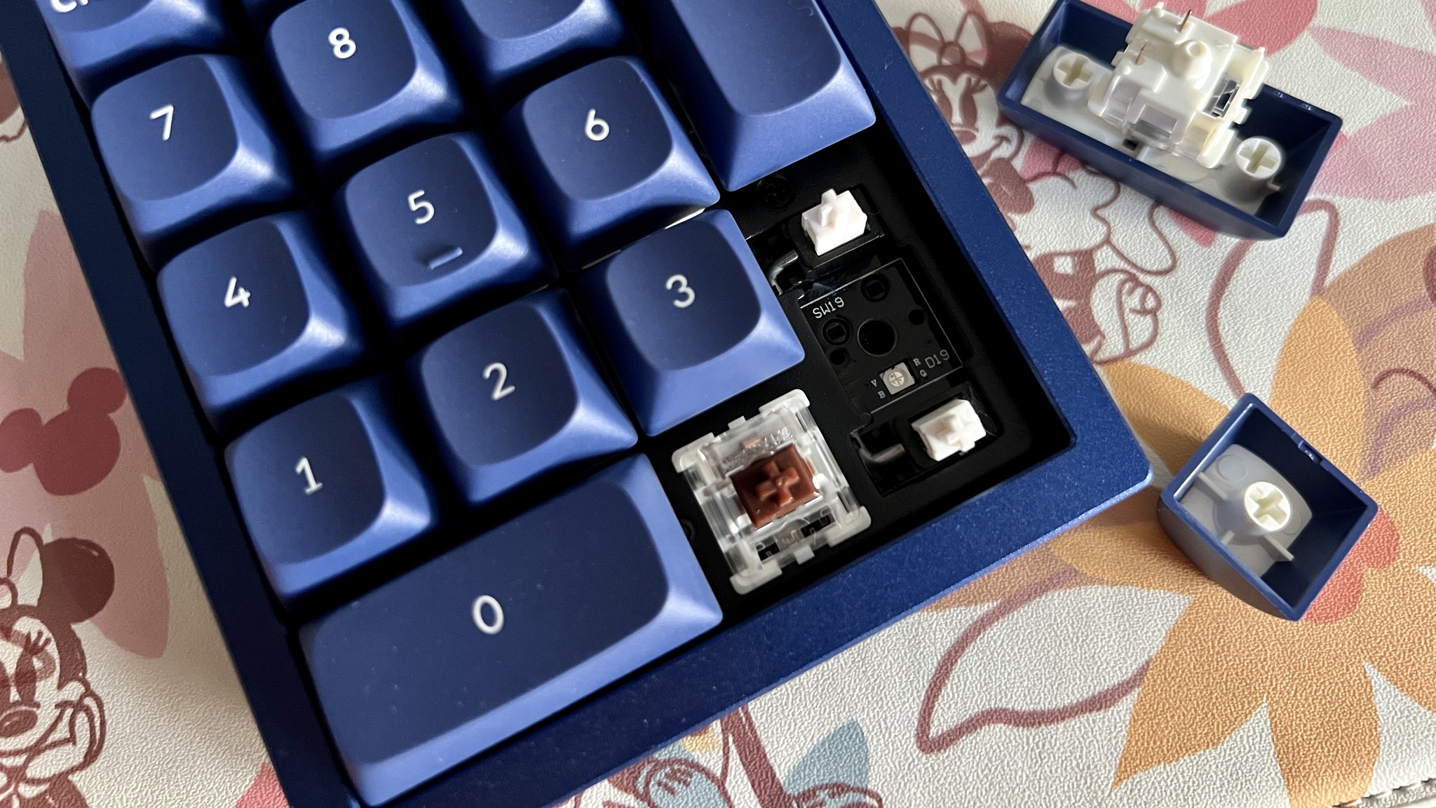 Keychron Q0 Blue Keycap Switches