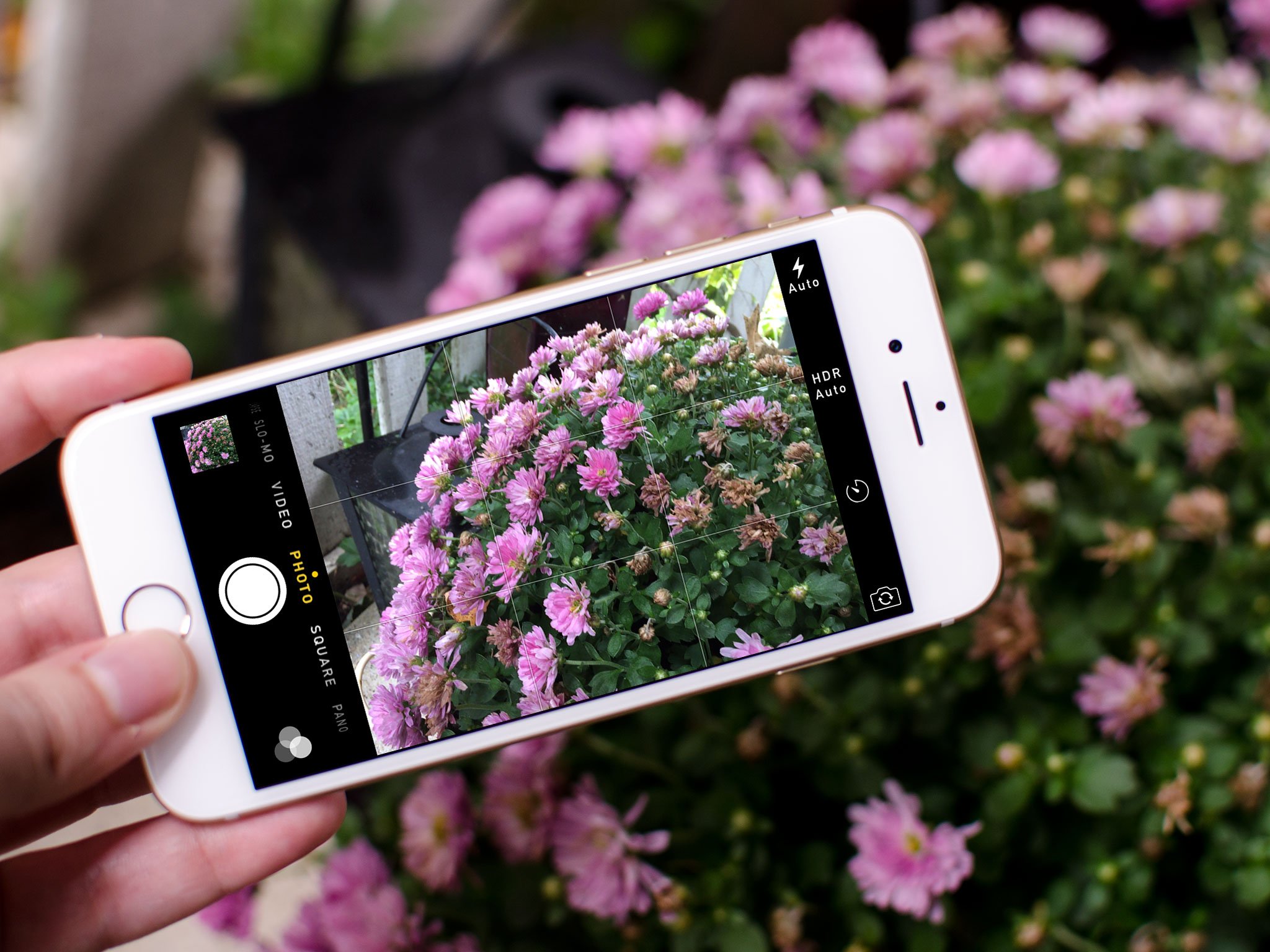 iPhone dominates Flickr&#39;s most popular cameras of 2015