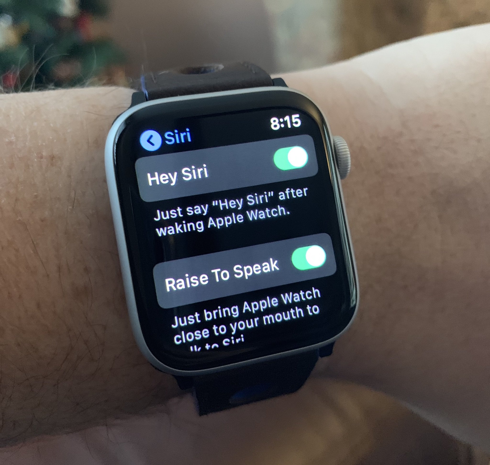 Apple Watch raise to speak