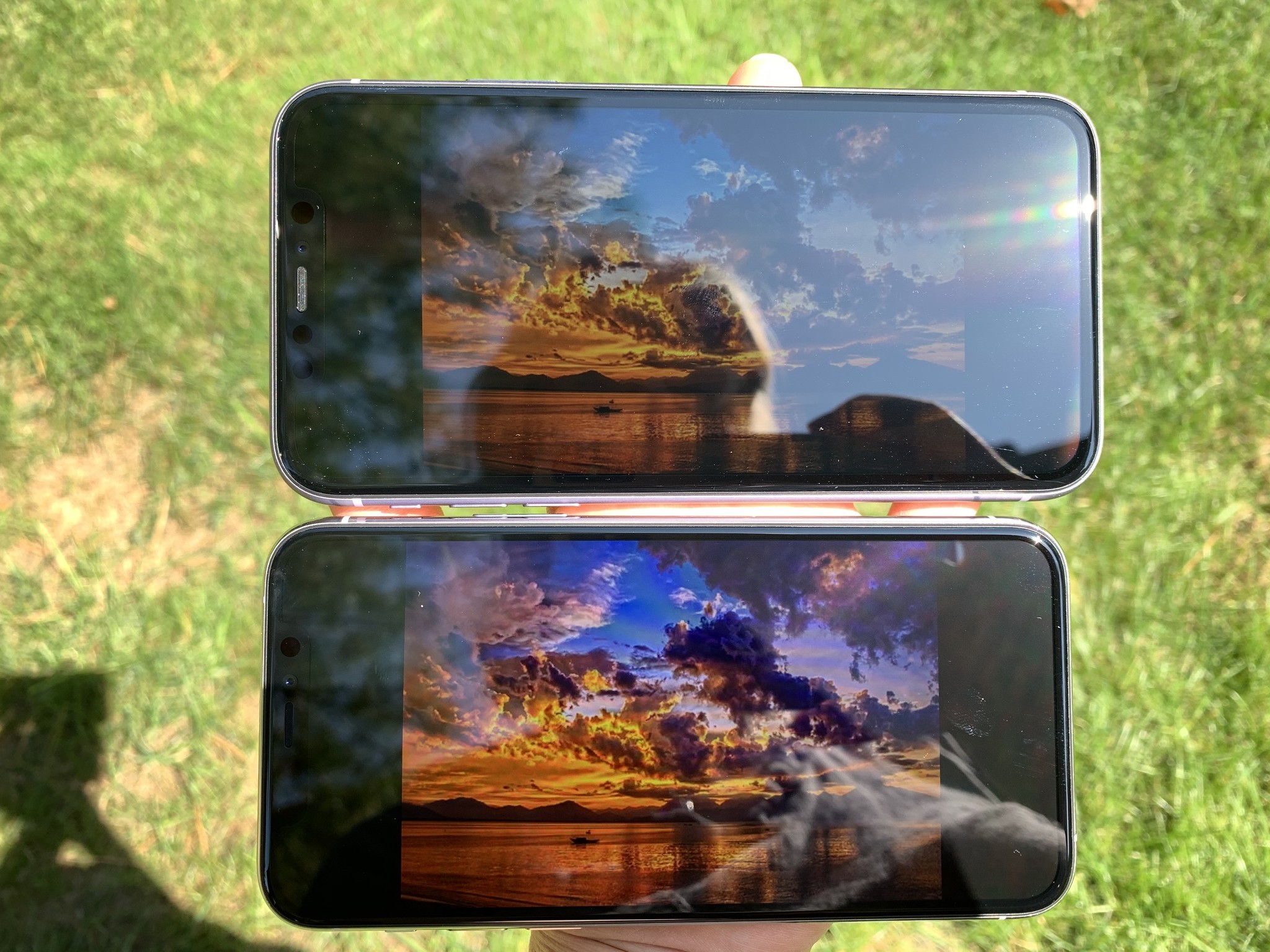 iPhone 11 vs iPhone 11 Pro display