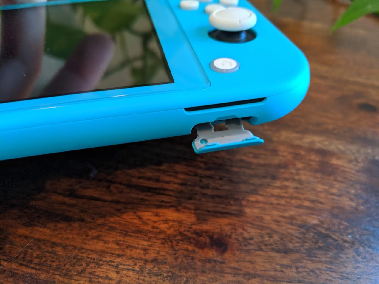 Nintendo Switch Lite's micro SD port