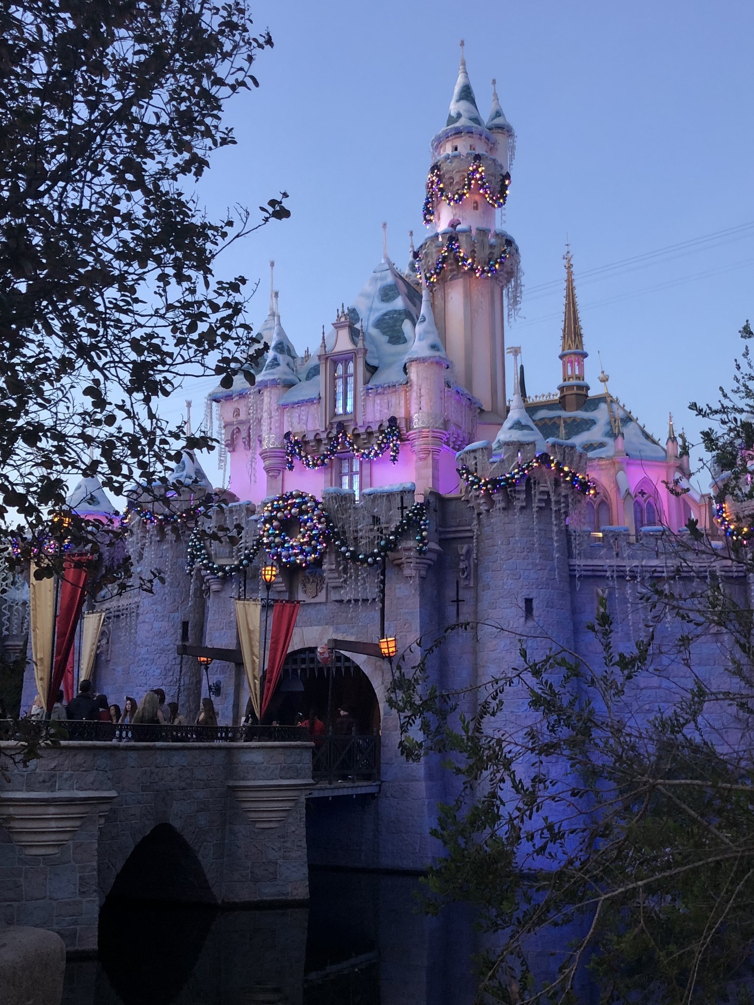 Disneyland Sleeping Beauty Castle side view