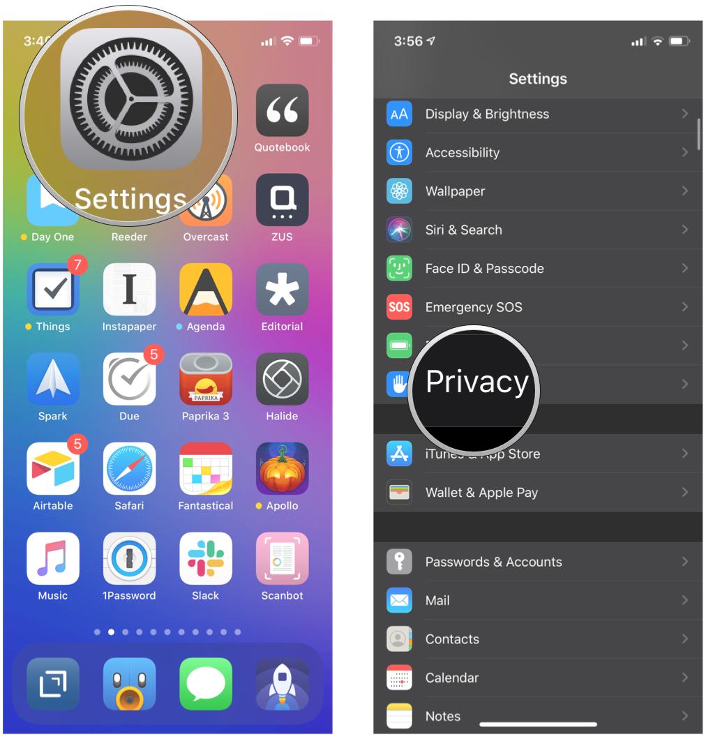 Launch Settings, tap Privacy