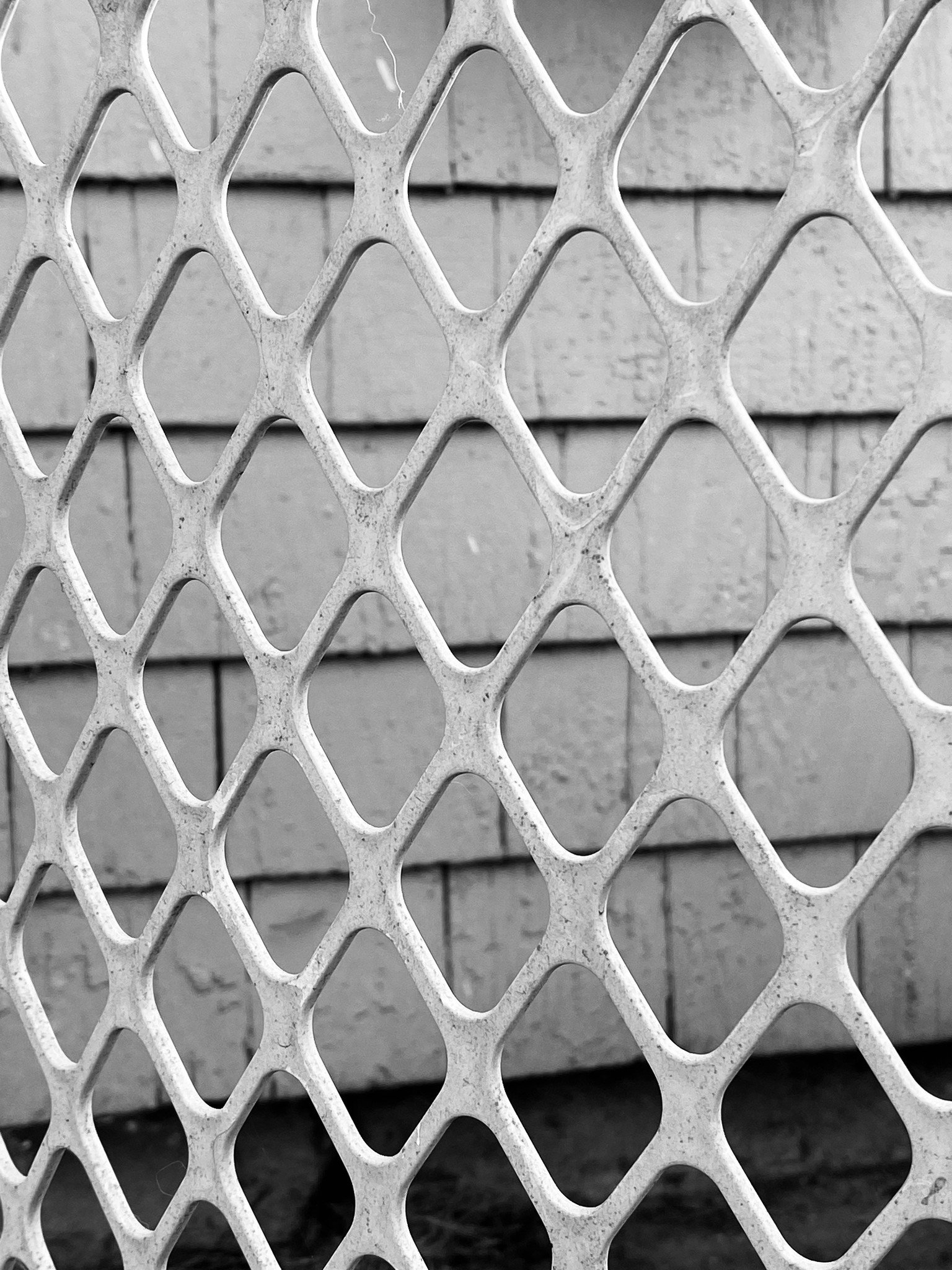Gate and wall in black and white