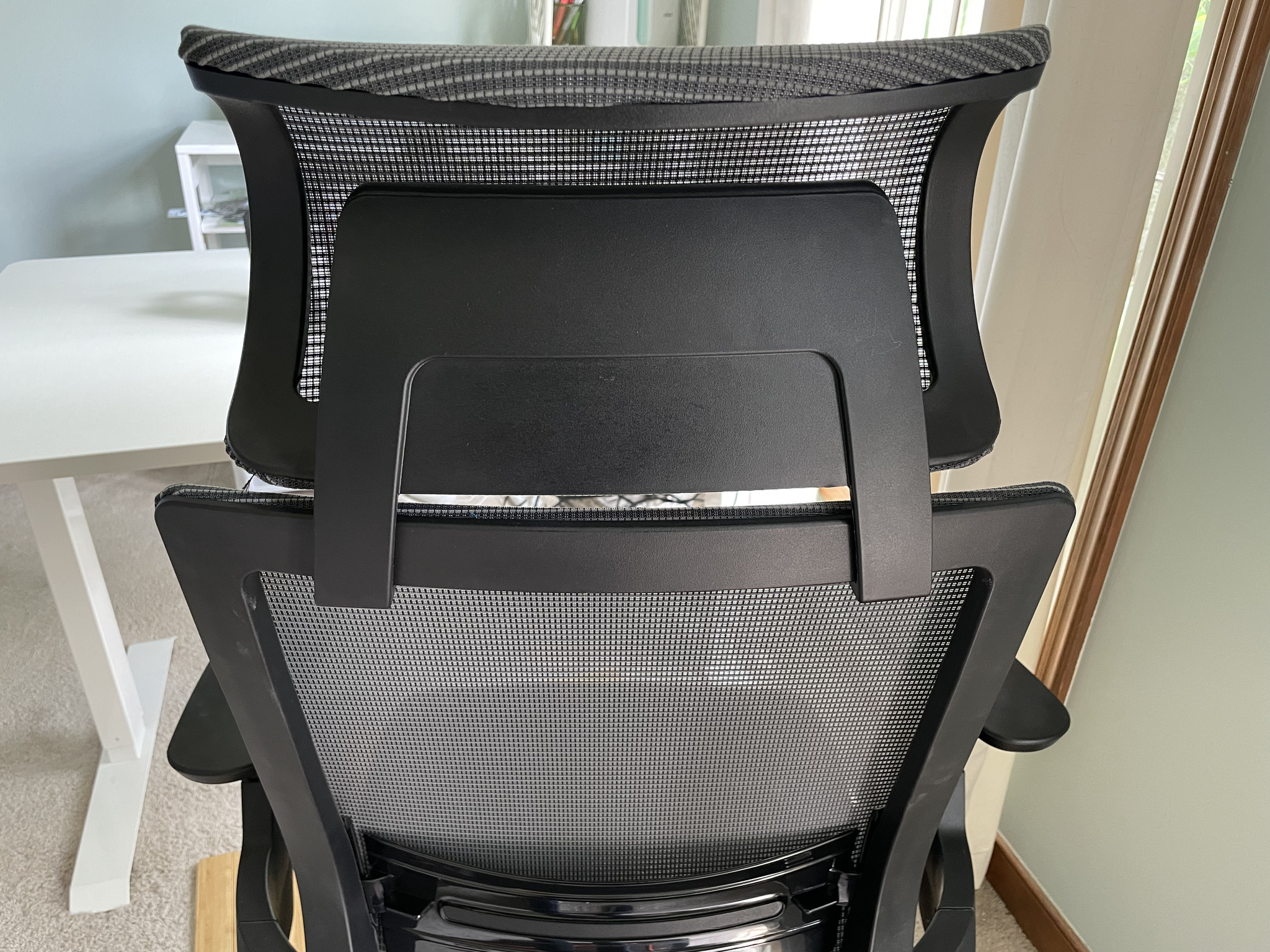 Nexvoo Health Ergonomic Adjustable Desk Chair Office Back
