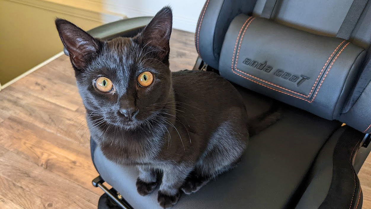 Andaseat Jungle 2 Gaming Chair Kitty