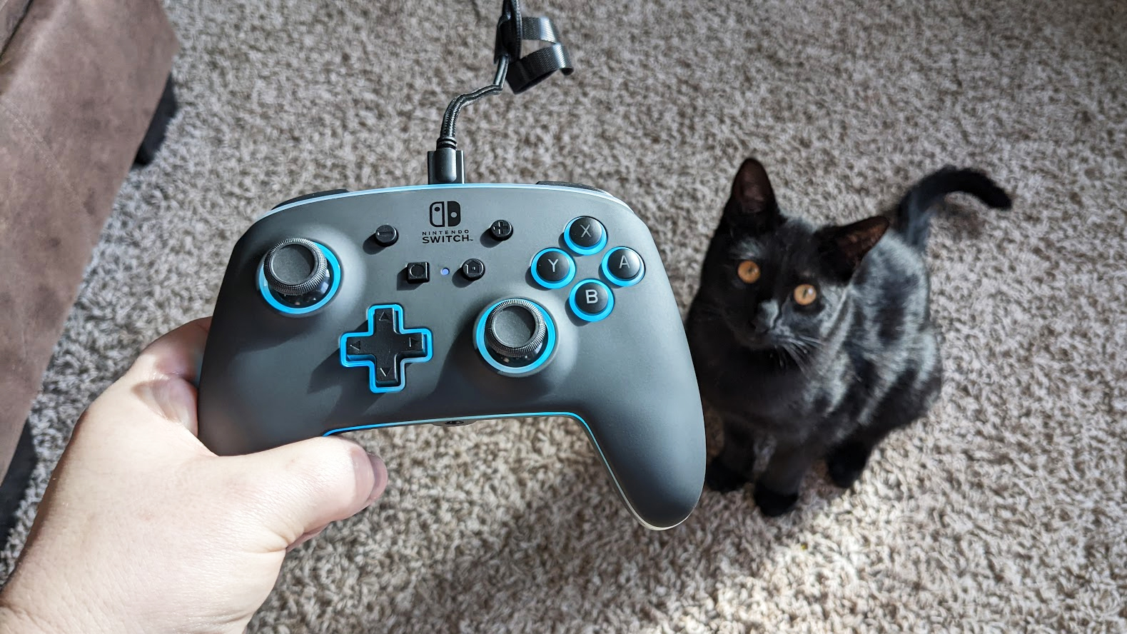 Powera Spectra Wired Controller With Kitty