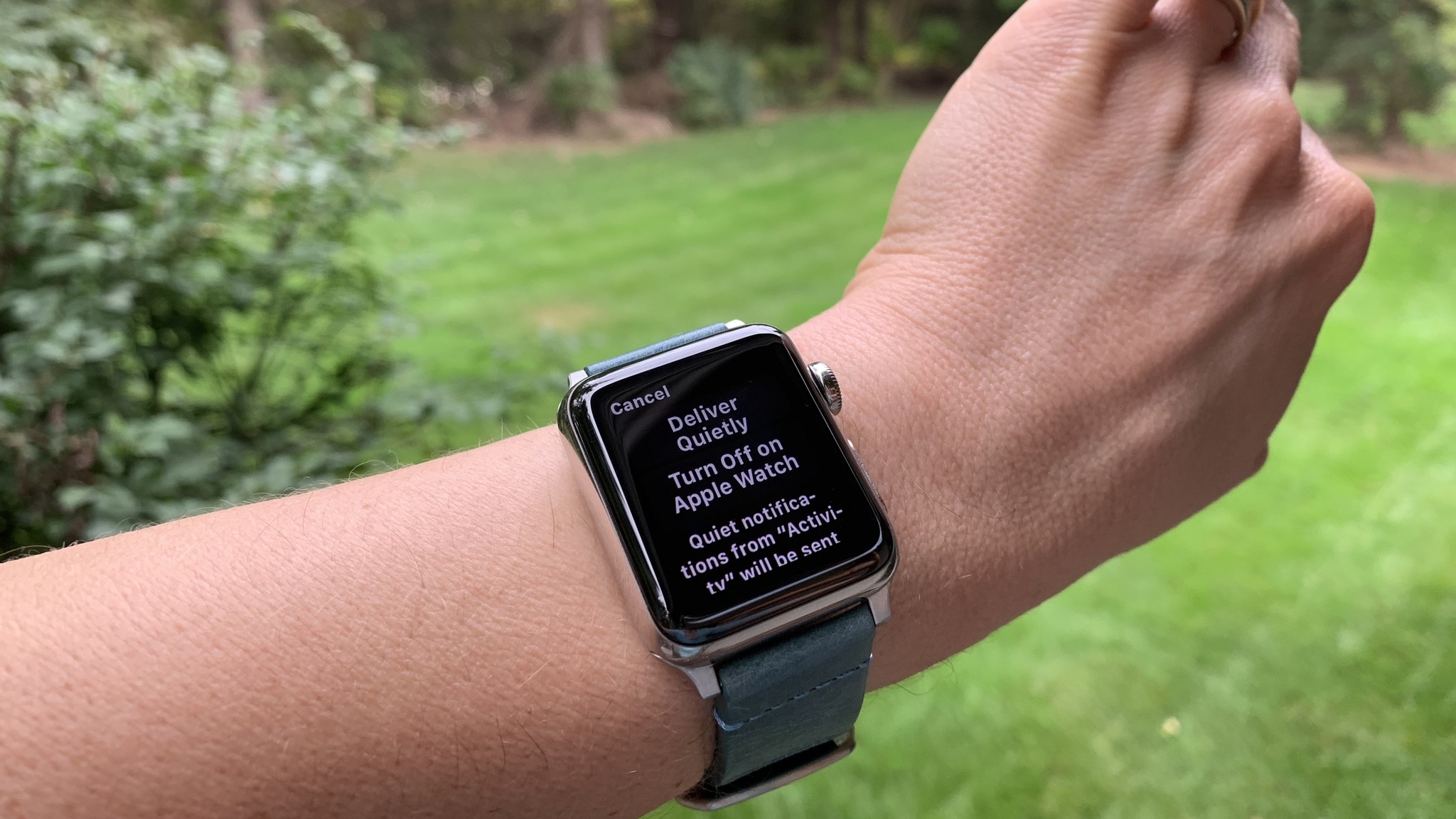 Apple Watch Notifications Hero