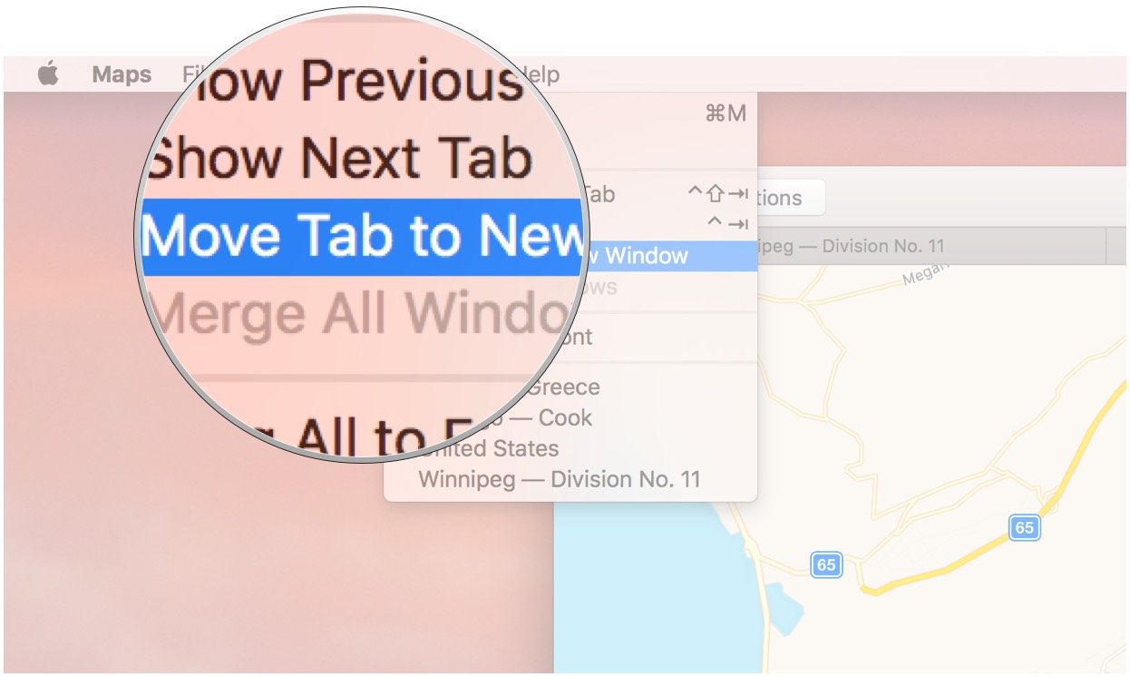 Click on Move Tab to New Window.
