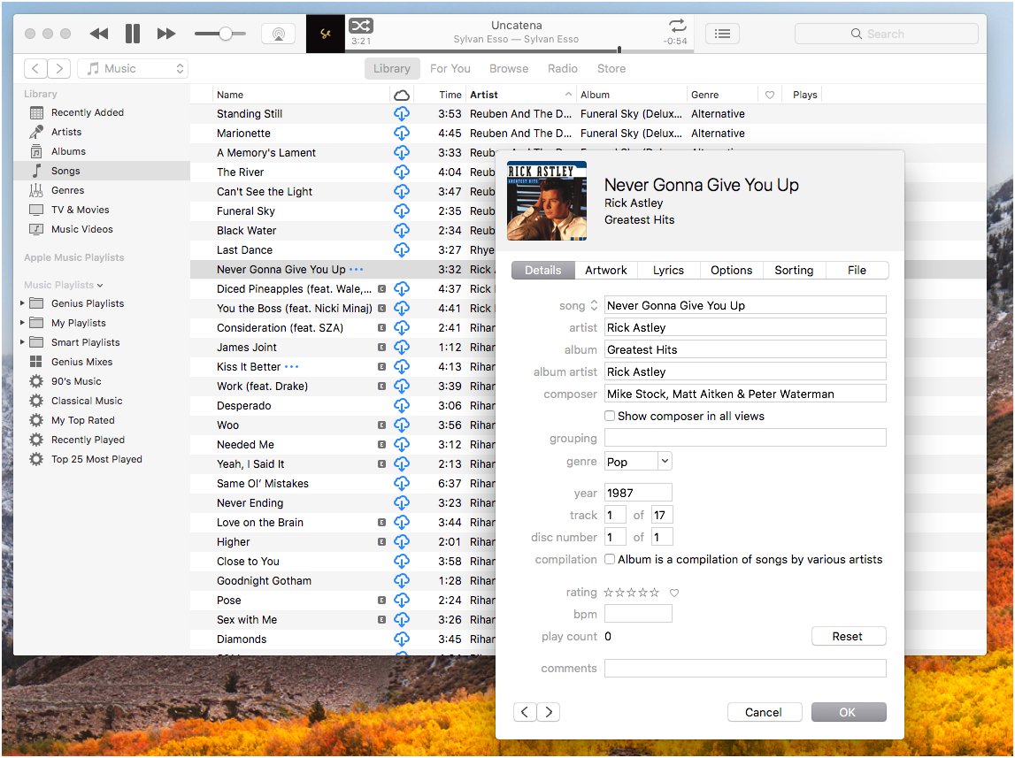 A screenshot of iTunes on macOS showing the different options for editing a files metadata