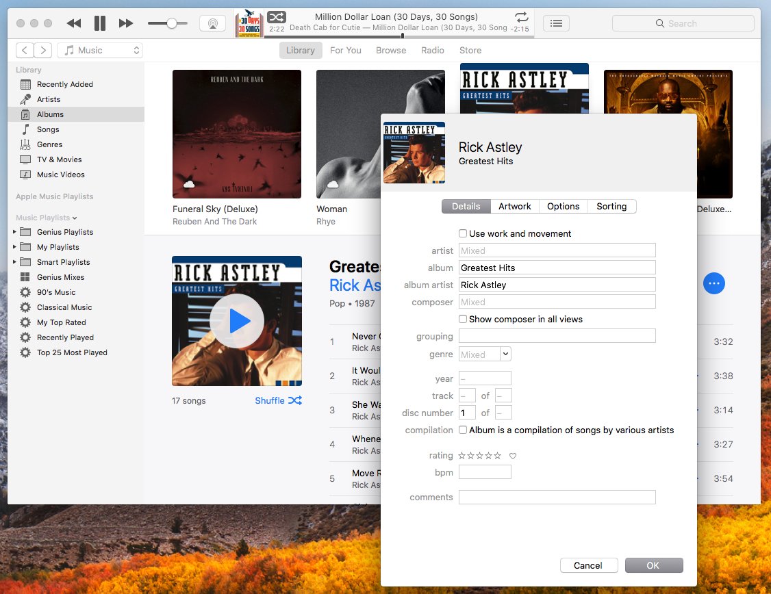 Снимок экрана iTunes в macOS, показывающий различные варианты редактирования метаданных файлов.