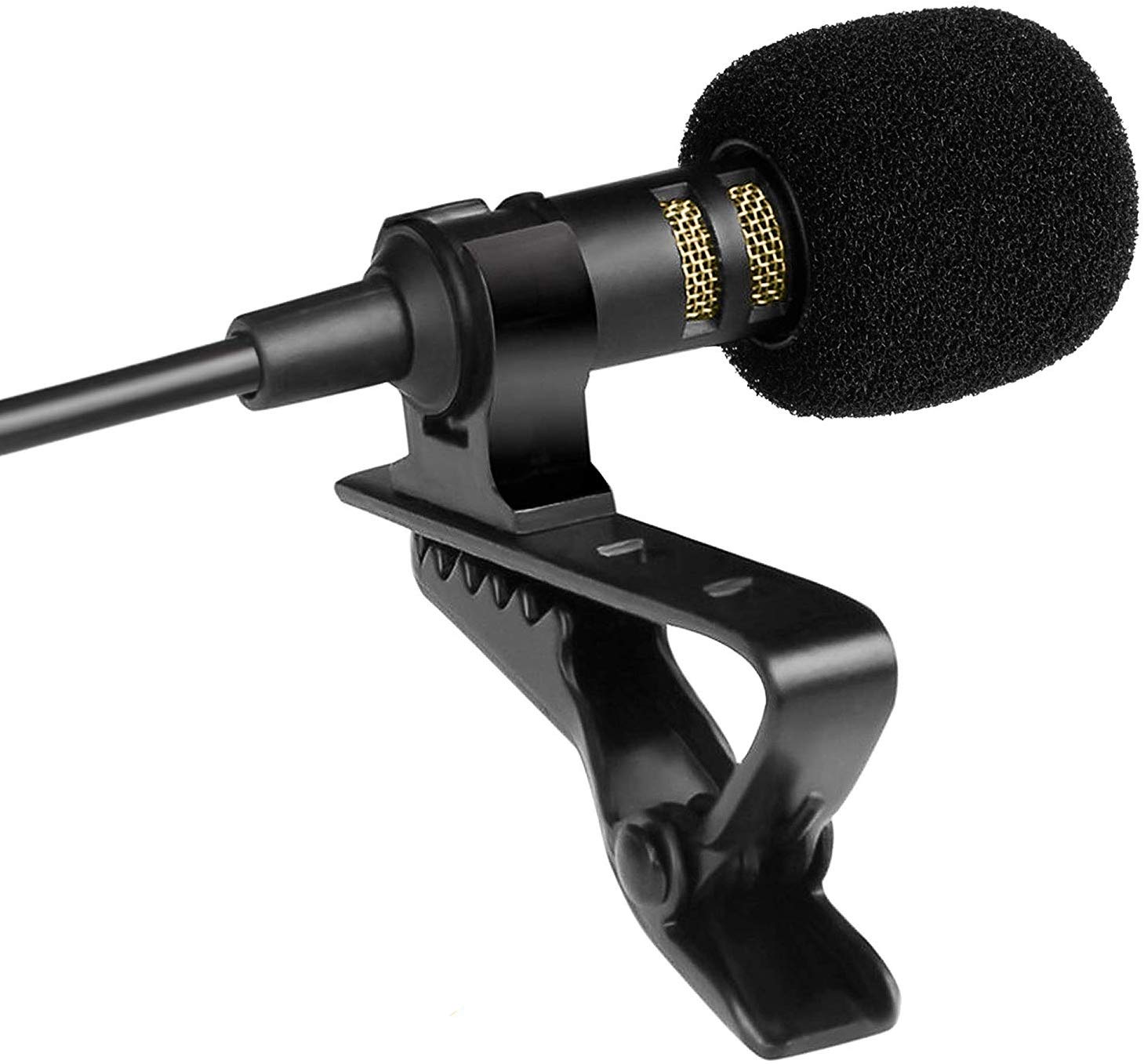 PowerDeWise microphone