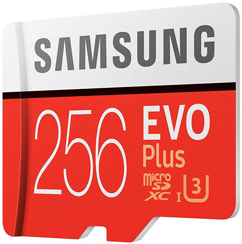 Samsung 256GB Evo Plus micro SD card