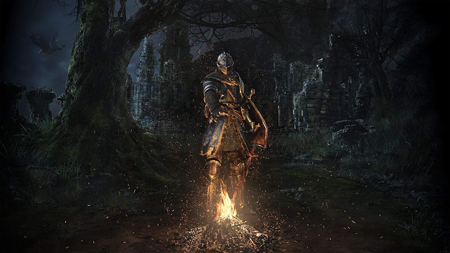 Dark Souls knight standing over a fire