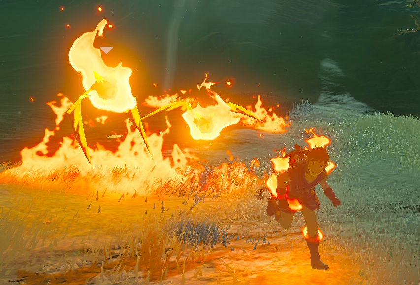 Fire Keese The Legend of Zelda: Breath of the Wild