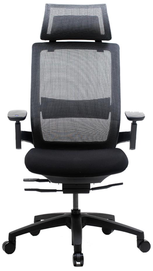 Nexvoo Health Ergonomic Adjustable Desk Chair Office Render Cropped