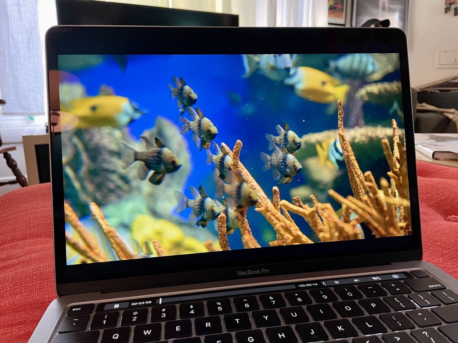 Macbook Pro With M1 Chip with a fish tank video playing on the screen