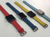 Want an alternative to the Apple Watch Classic Buckle? Check these out.