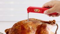 Take the guesswork out of grilling with the best meat thermometer 