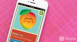 Cute Fruit for iPhone tracks your baby's growth progress