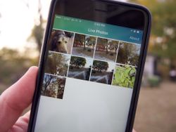 Lively lets you turn Live Photos into animated GIFs and more