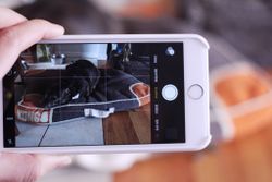 How to take great pictures of your pets with your iPhone