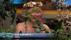 Nude and surrounded by trees: TWiT talks Apple retail