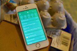 Best Evernote alternatives for iPhone