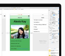 Learn to code: Apple's got a brand new Swift curriculum for iBooks