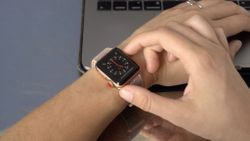 Apple Watch Series 3 shows its age when user tries to update it