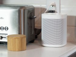 Does Sonos One work with Google Assistant?