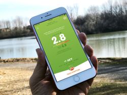 Best apps for tracking pollen counts