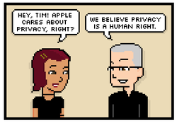 If Apple Really Cared About Privacy...