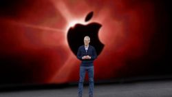 Trump impressed by Tim Cook because the Apple CEO contacts him directly