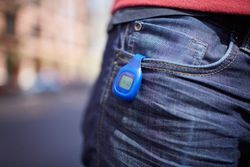 Track it all with the compact Fitbit Zip