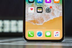 iPhone 11 could use same OLED display as Galaxy Note 10, says report