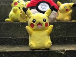 Catch your favorite pocket monsters with the Best Pokemon Toys