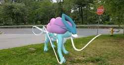 Time to capture Suicune again