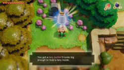 How to find all fairy bottles in Link's Awakening
