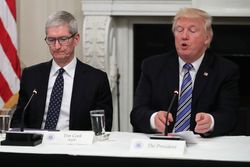 Tim Cook Urges United States to remain a member of the Paris Agreement