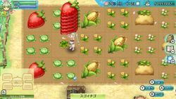 Here's everything you need to know about Rune Factory 4 Special
