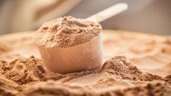 Need a protein boost? Power your workout with these great protein powders!