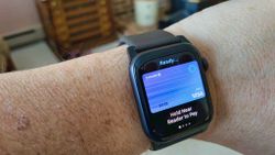 Change your default Apple Pay card on Apple Watch and make it rain