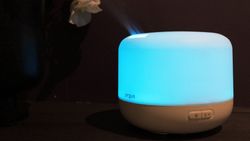 Smell the roses with the best smart oil diffusers 