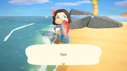 Animal Crossing: New Horizons — Fishing guide