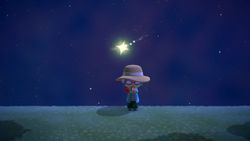 Animal Crossing: New Horizons — Shooting Star guide