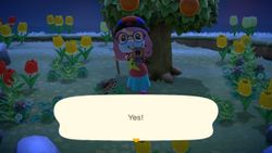 How to spawn an infinite tarantula island in Animal Crossing because sure